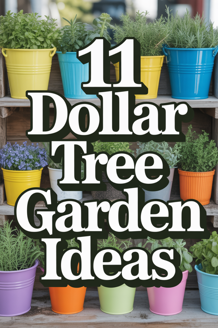 🌱 11 Dollar Tree Garden Ideas