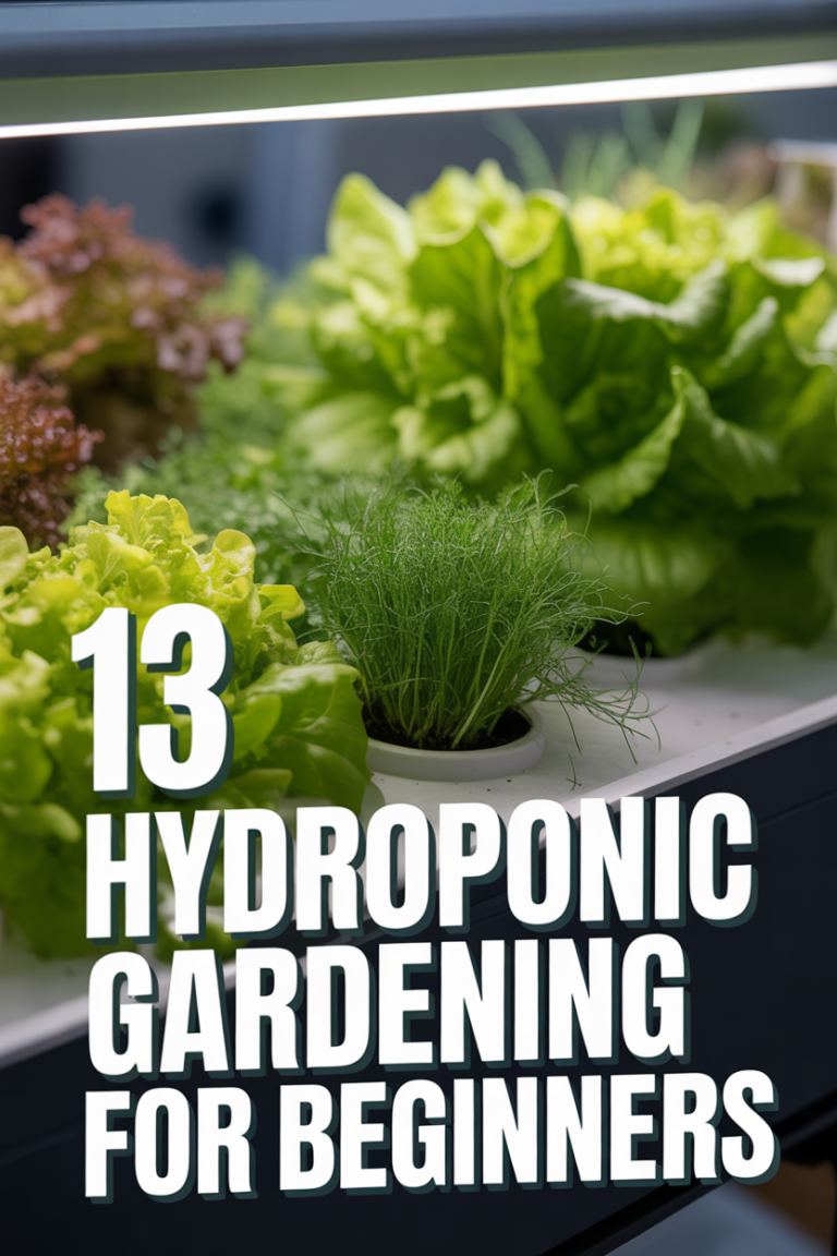 🌱 13 Hydroponic Gardening For Beginners