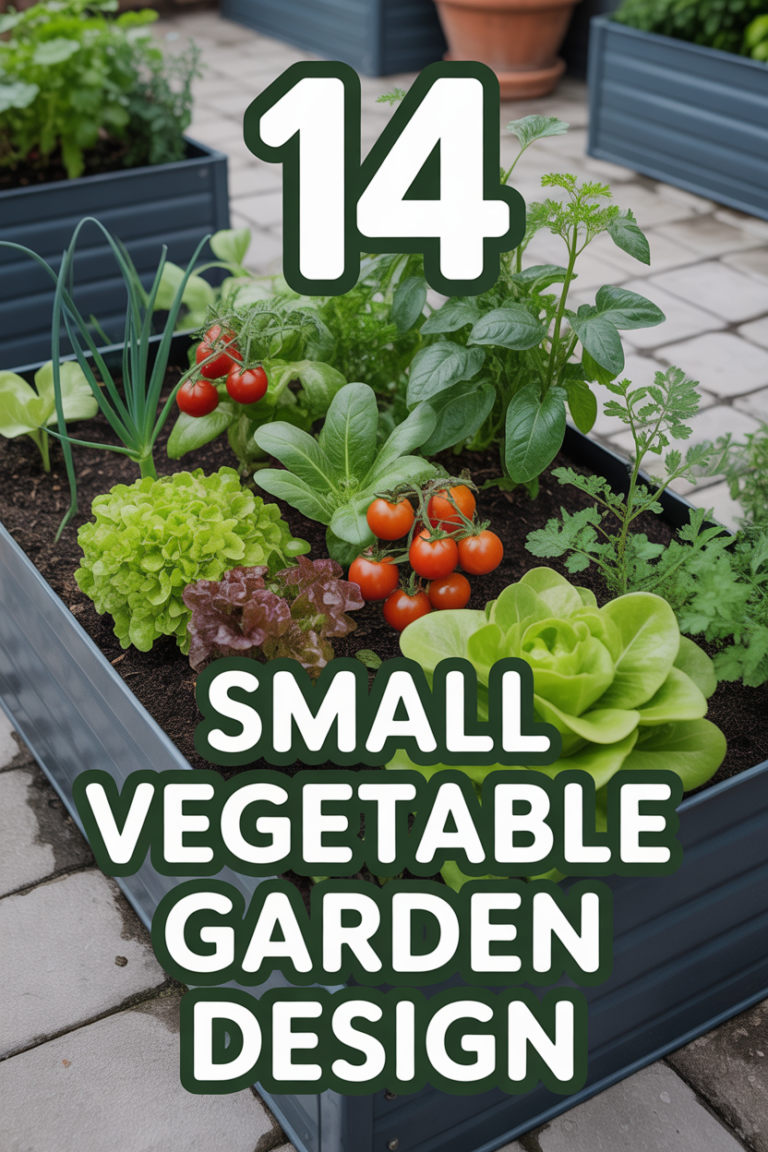 🌱 14 Small Vegetable Garden Design