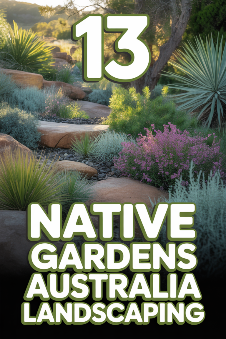 🌿 13 Native Gardens Australia Landscaping